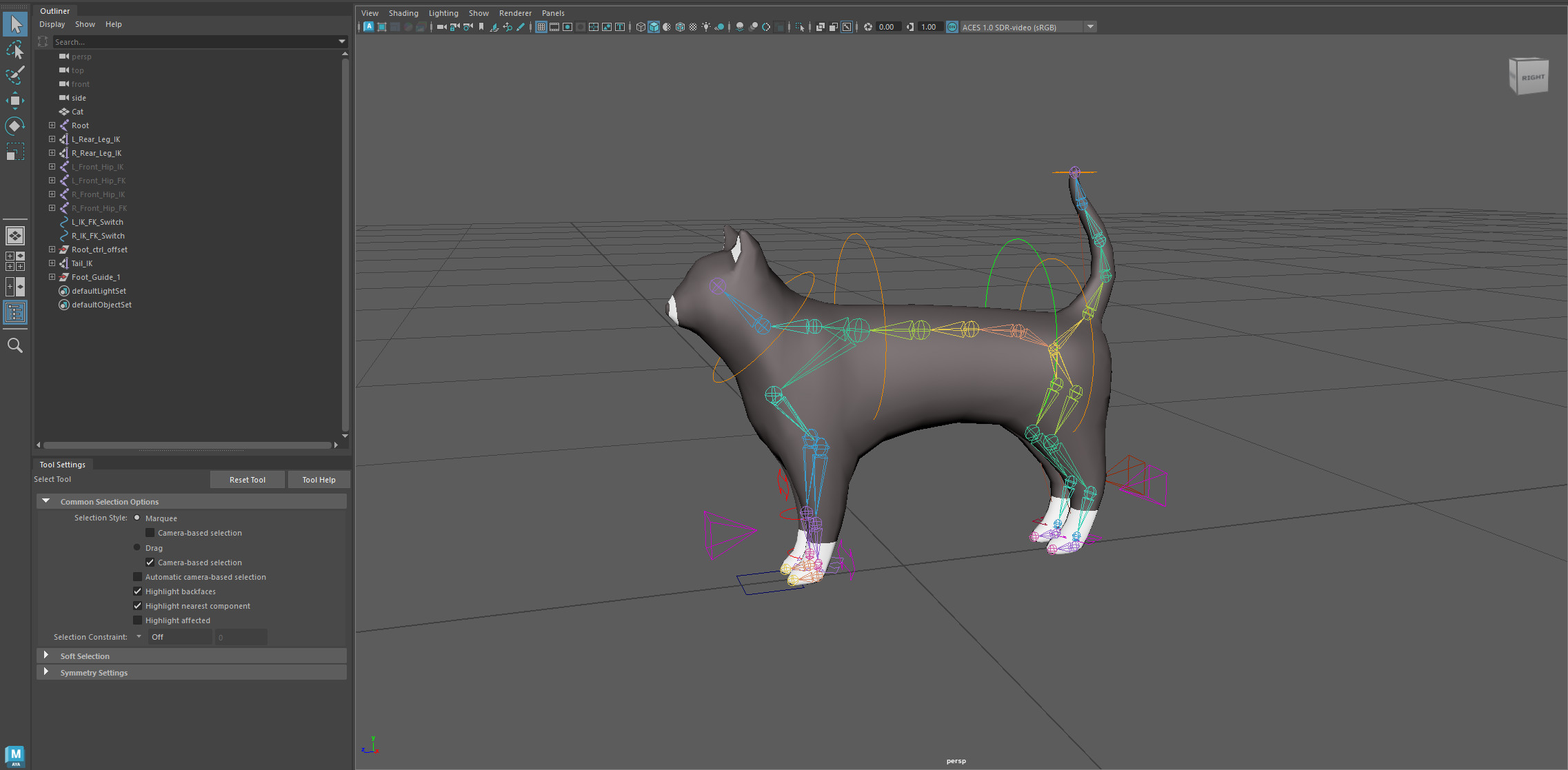 Caligo! Cat Rig