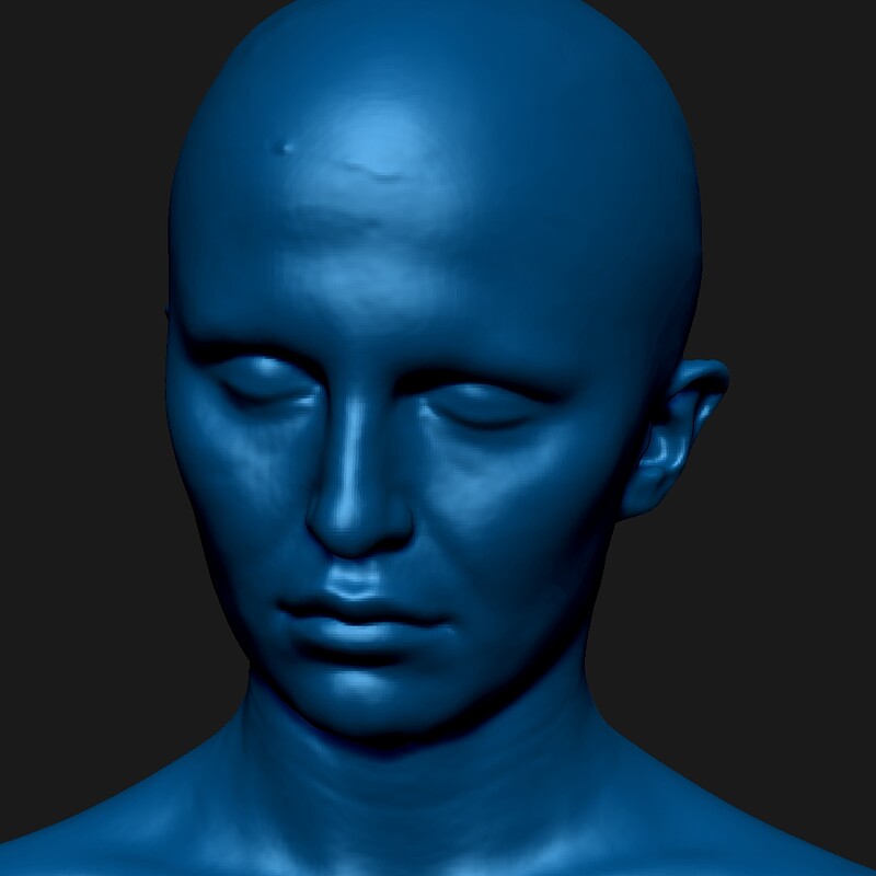 Lifecast Bust — 3D Scan & Reconstruction  
