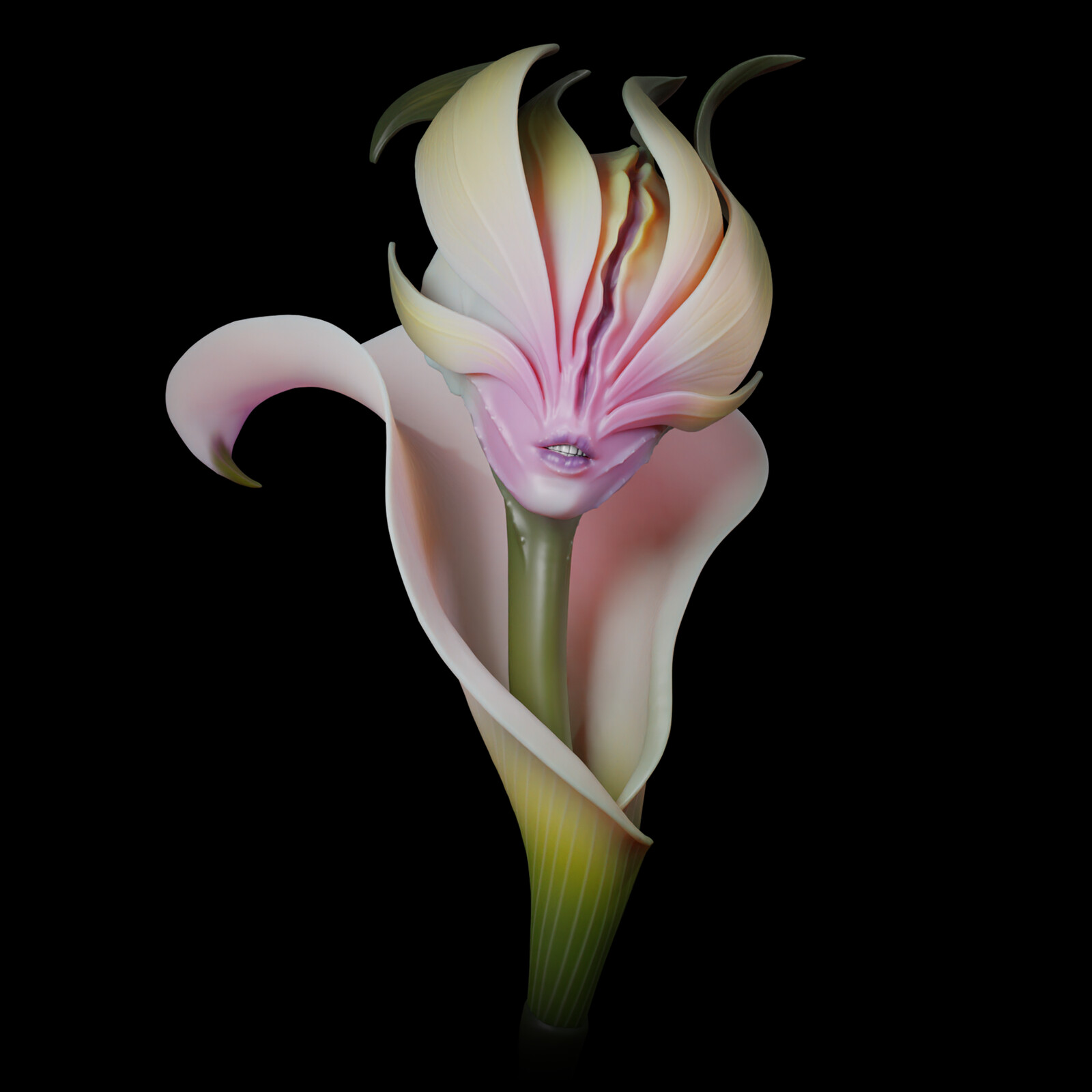 Plant