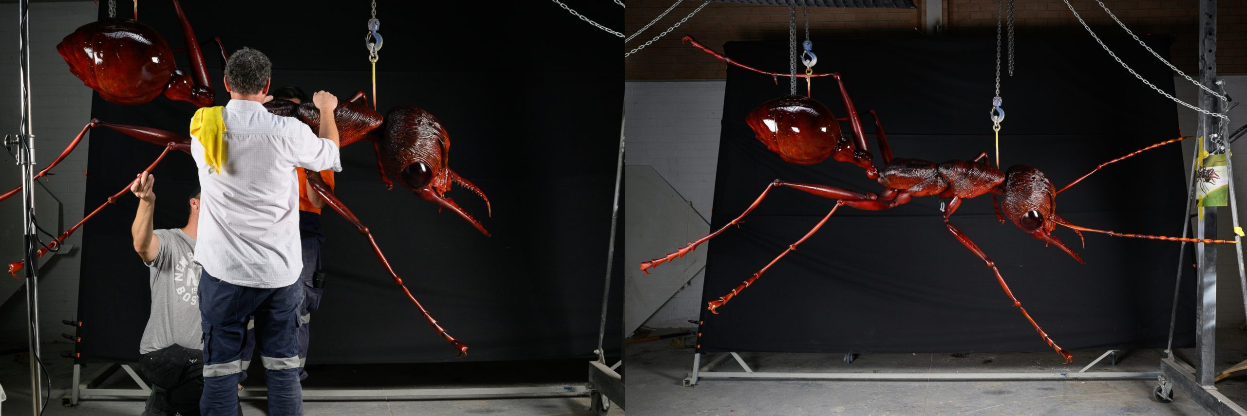 Photo of final museum print created by CDM: Studio Perth