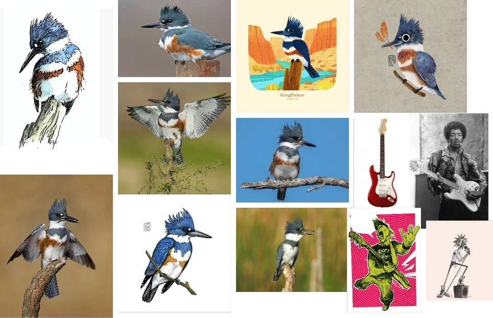 Kyle Kingfisher - Reference Board