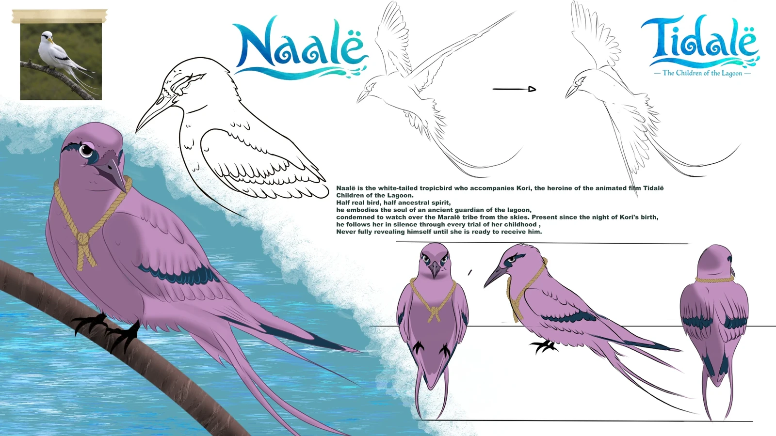 Naalë is the white-tailed tropicbird who accompanies Kori, the heroine of the animated film Tidalë : Children of the Lagoon. Present since the night of Kori's birth, he follows her in silence through every trial of her childhood