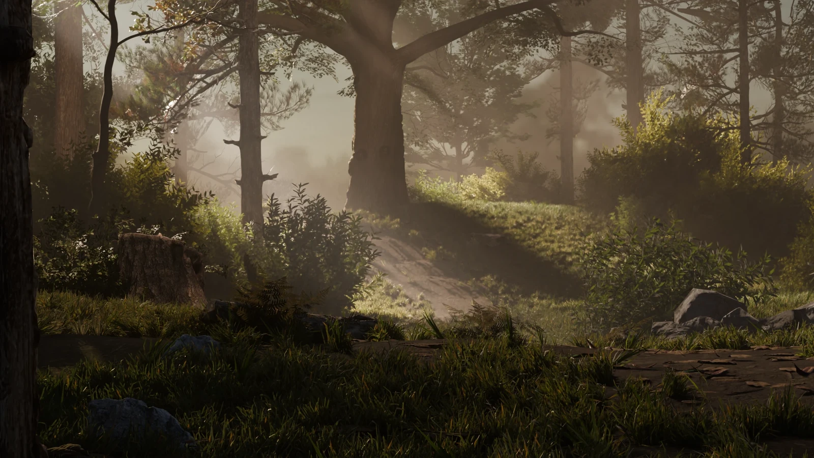 Forest Pathway