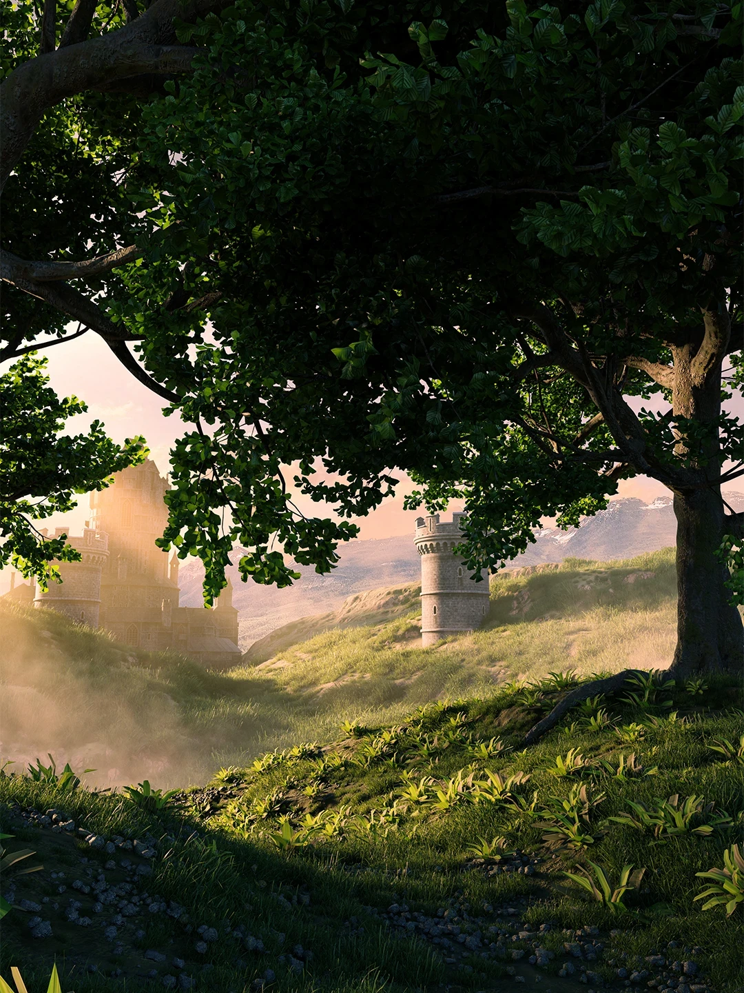 Journey Through The Forest
