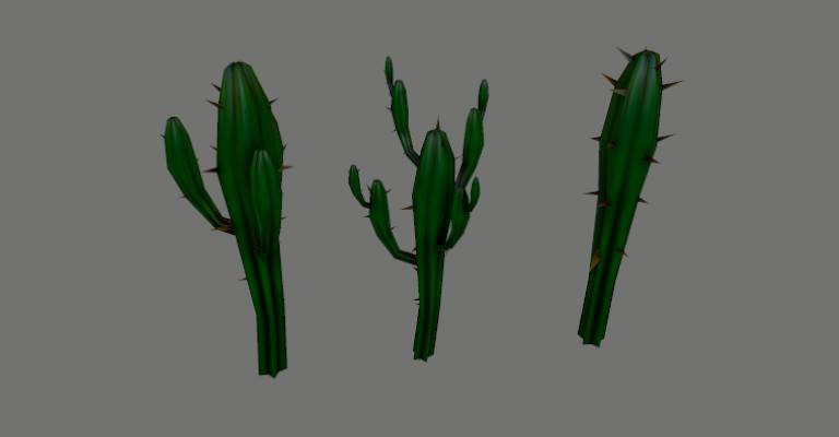 Cactus Cereus Geometrizans