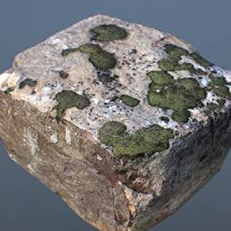 iPhone Photogrammetry - Mossy Rock