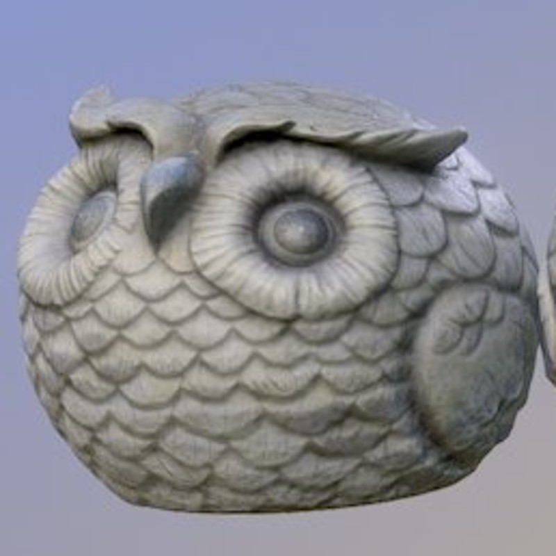 Owl Decor Photoscan