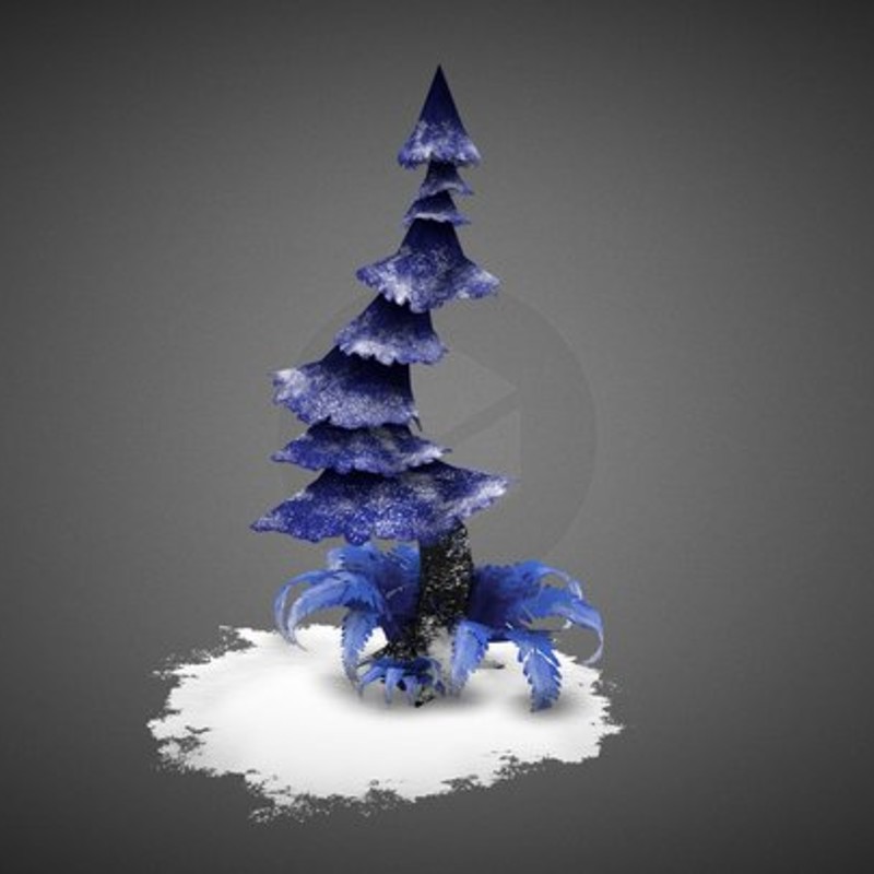 Winter Pine Model