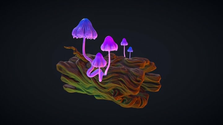 Magic Mushrooms • 3D Sculpture