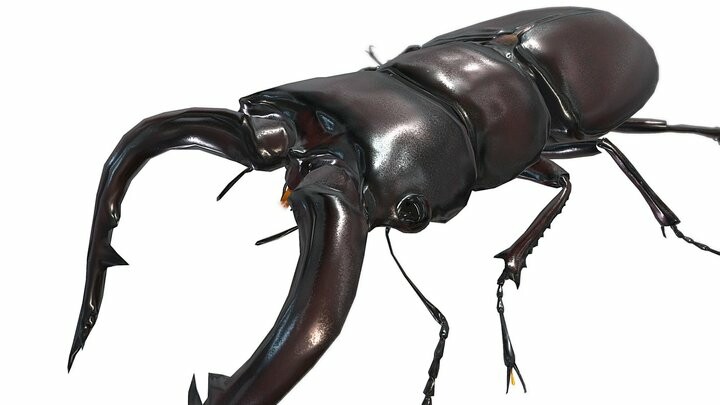 Artstation - Lowpoly Stagbeetle