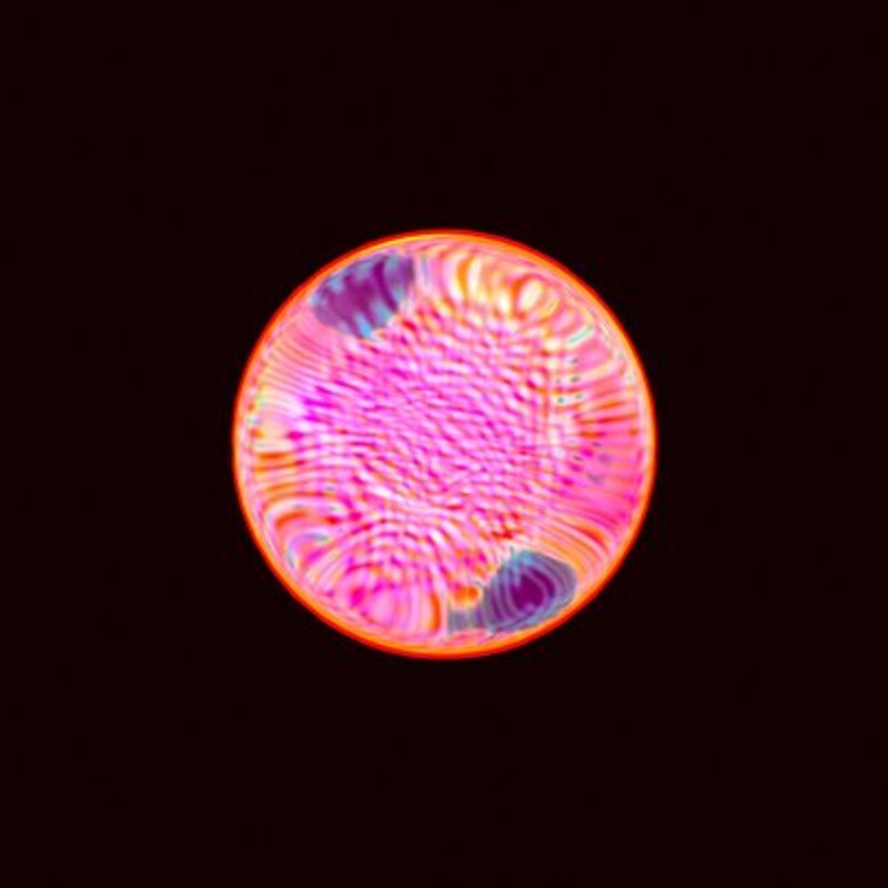 Liquid Crystals