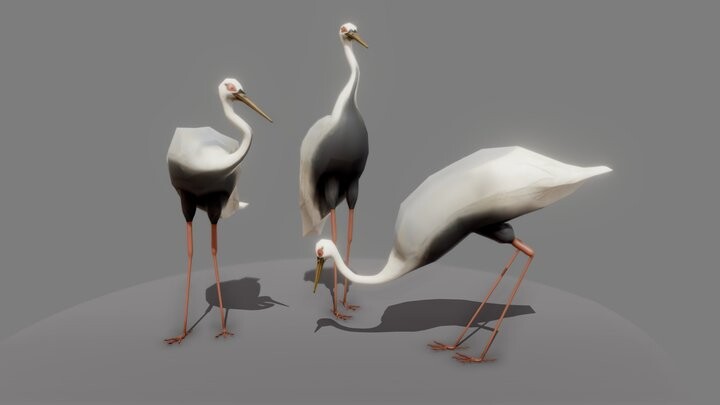 3d low poly birds