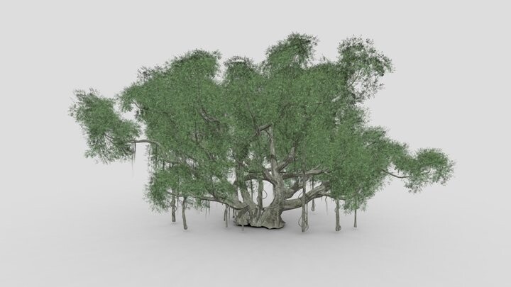 ArtStation - Chinese Banyan Tree-S3