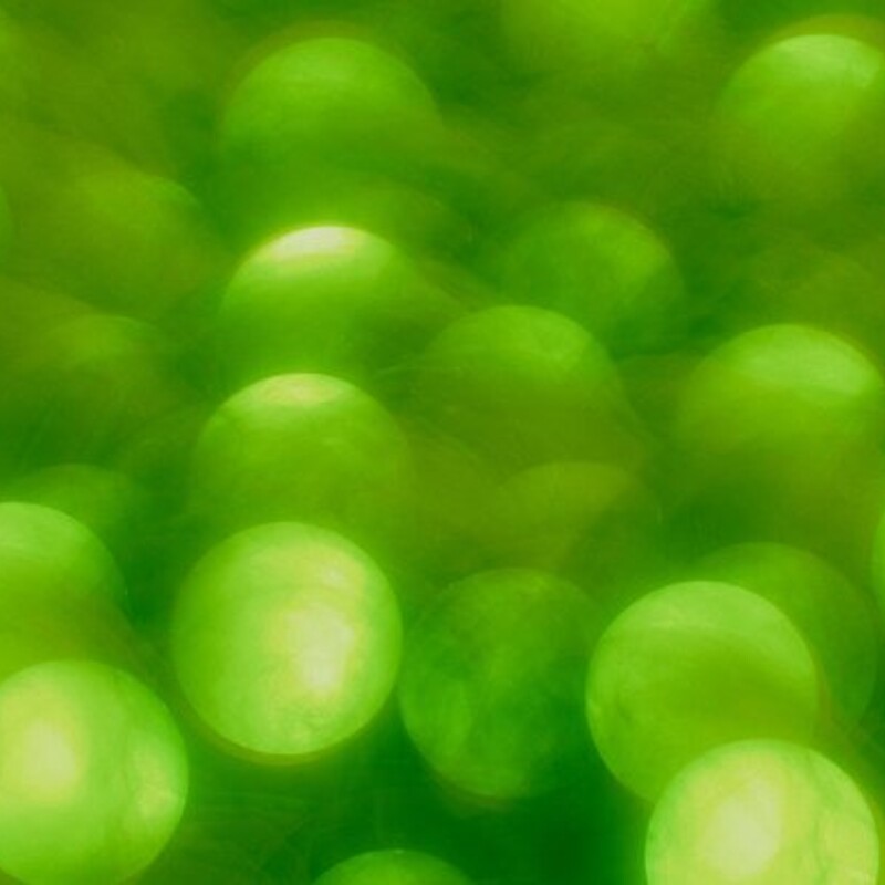 Frothing Peas