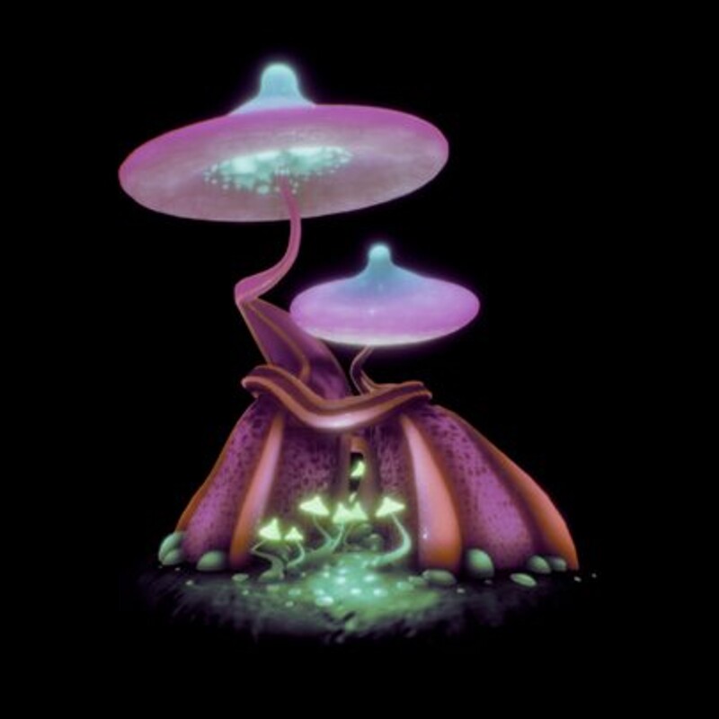 Mushroom Magic Night