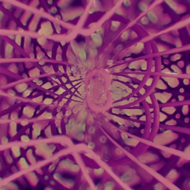 Weaved Spirals