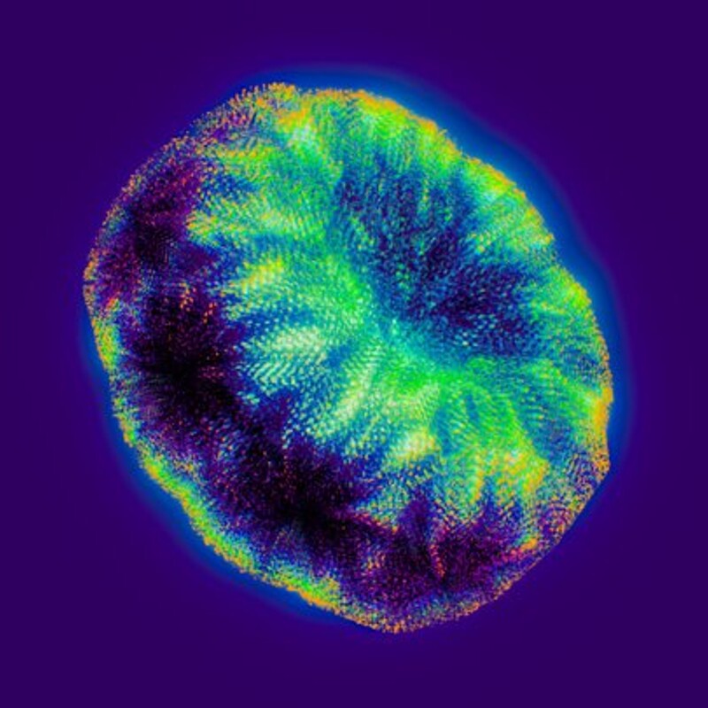 Ethereal Doughnut