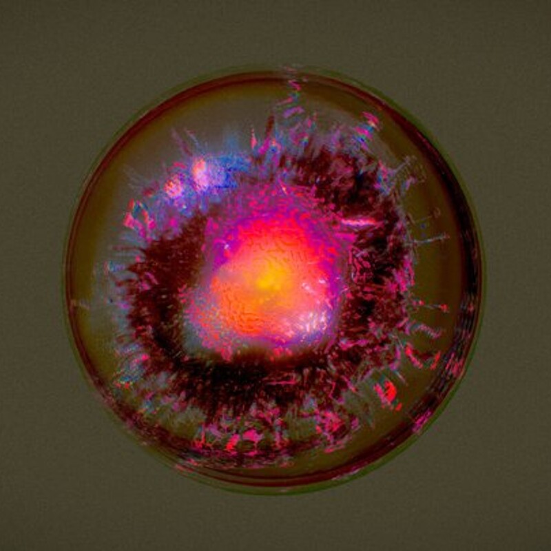 Cosmic Cell
