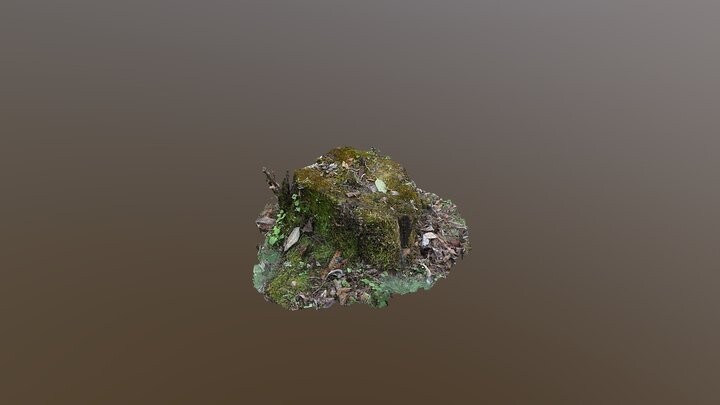 ArtStation - beautiful tree stump