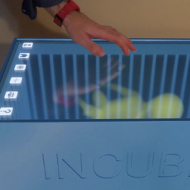 Incube Hand Reflection