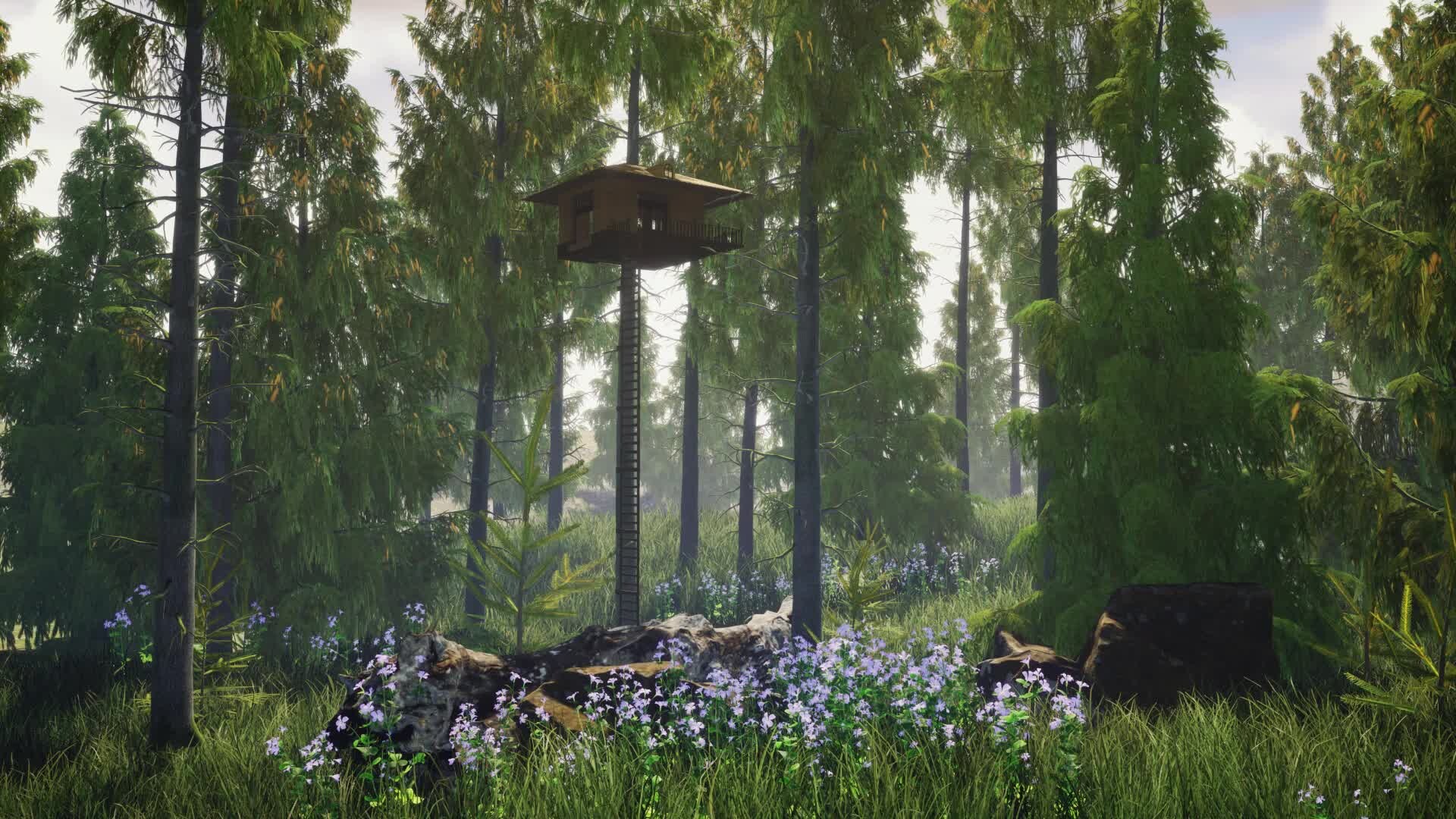 ArtStation - Unreal Engine Environment Design