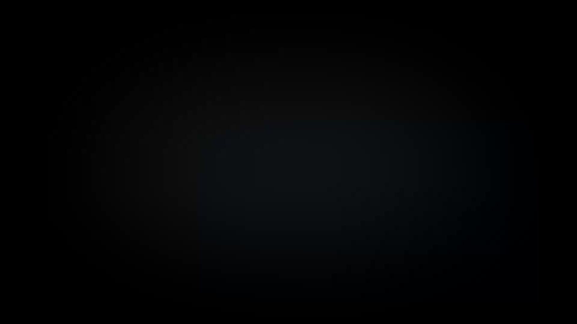 Wildi - Opening Logo