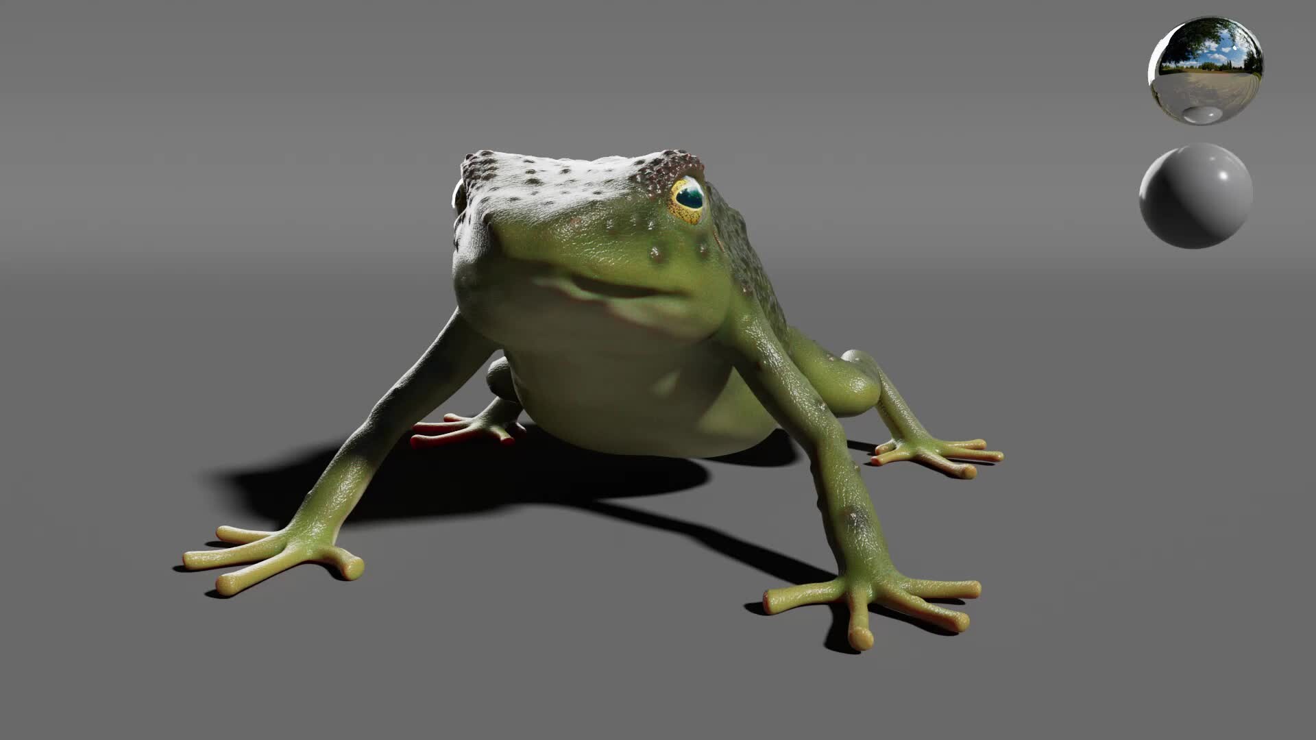 ArtStation - bufo alvarius - The Bull Frog