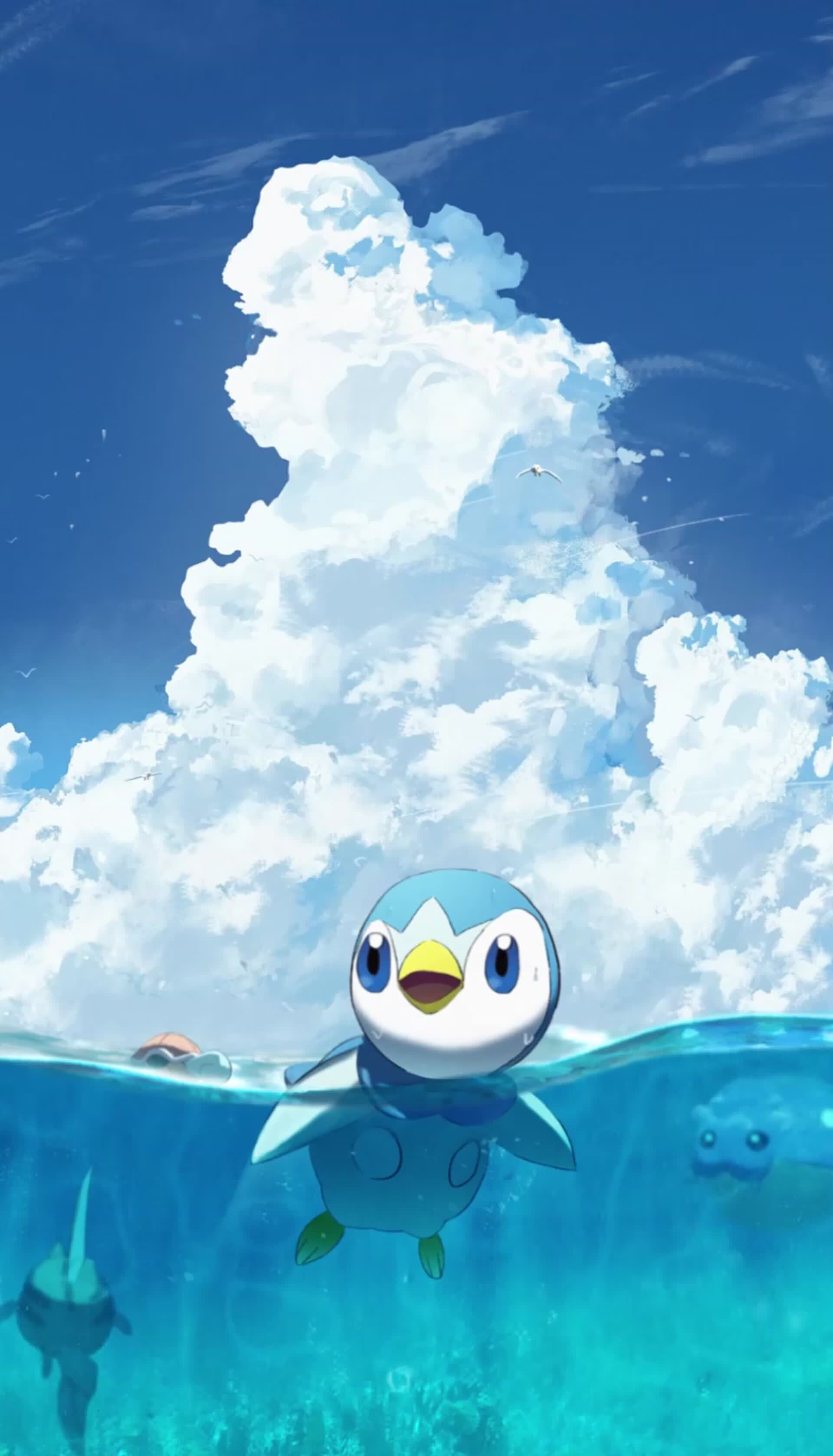 Have some wonderful Piplup mobile wallpapers  PokéJungle  Piplup Mobile  wallpaper Wallpaper