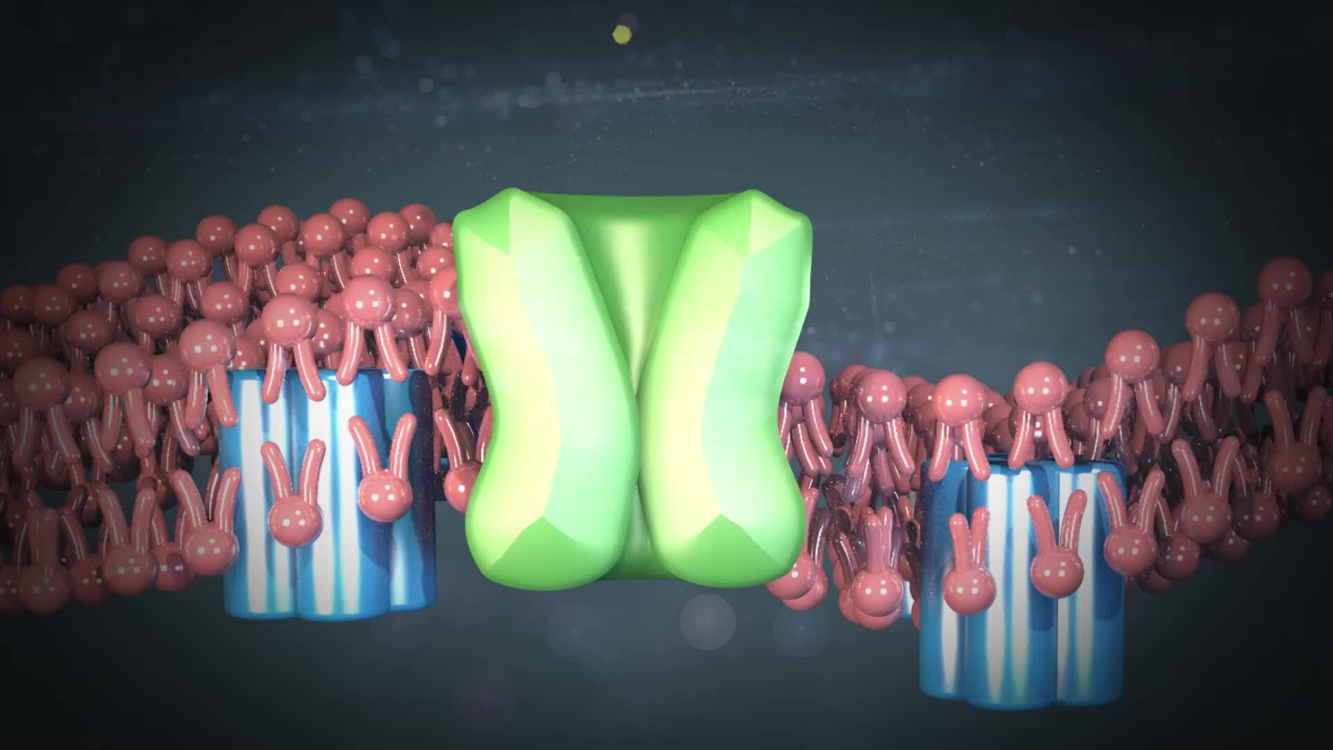 ArtStation - Cell Membrane Animation - Cinema 4D