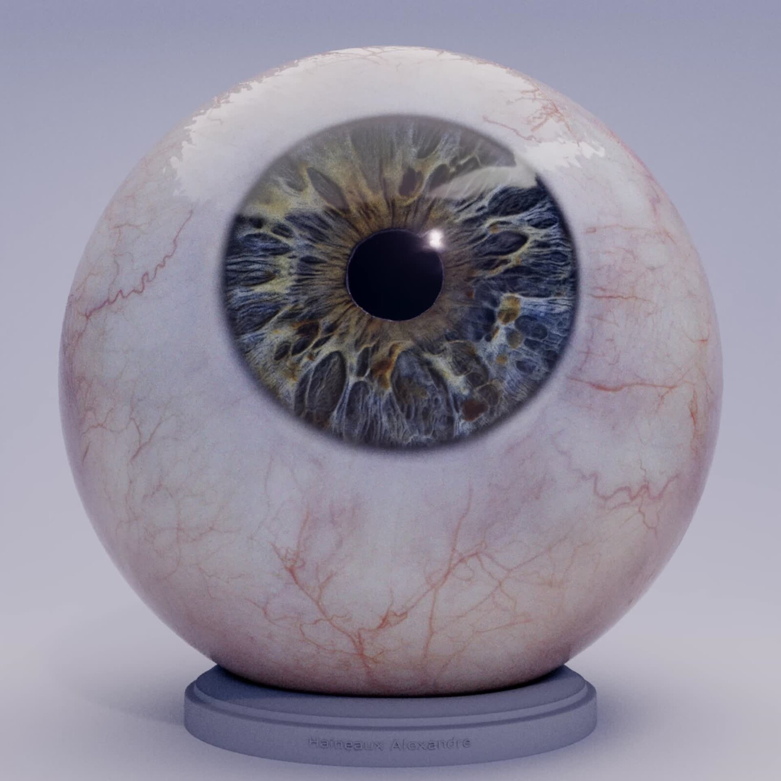 Realistic Eye Training