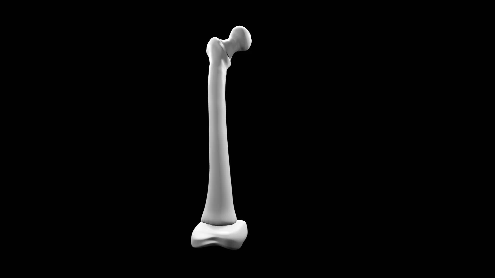 ArtStation Femur Thigh bone