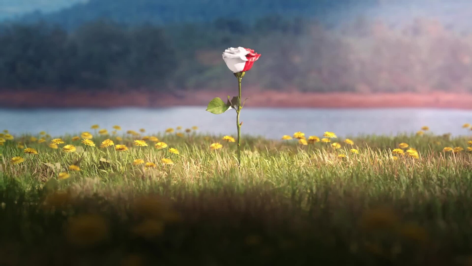 3D Visualizer for LIVE SET - Chaar Diwaari - "RANG"