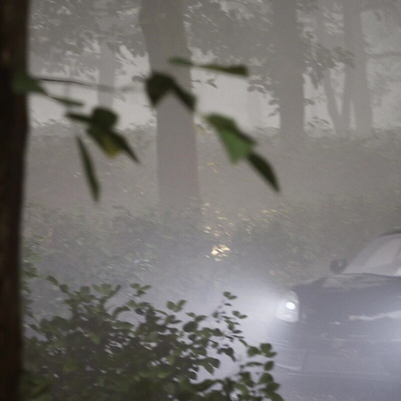 Car in the forest