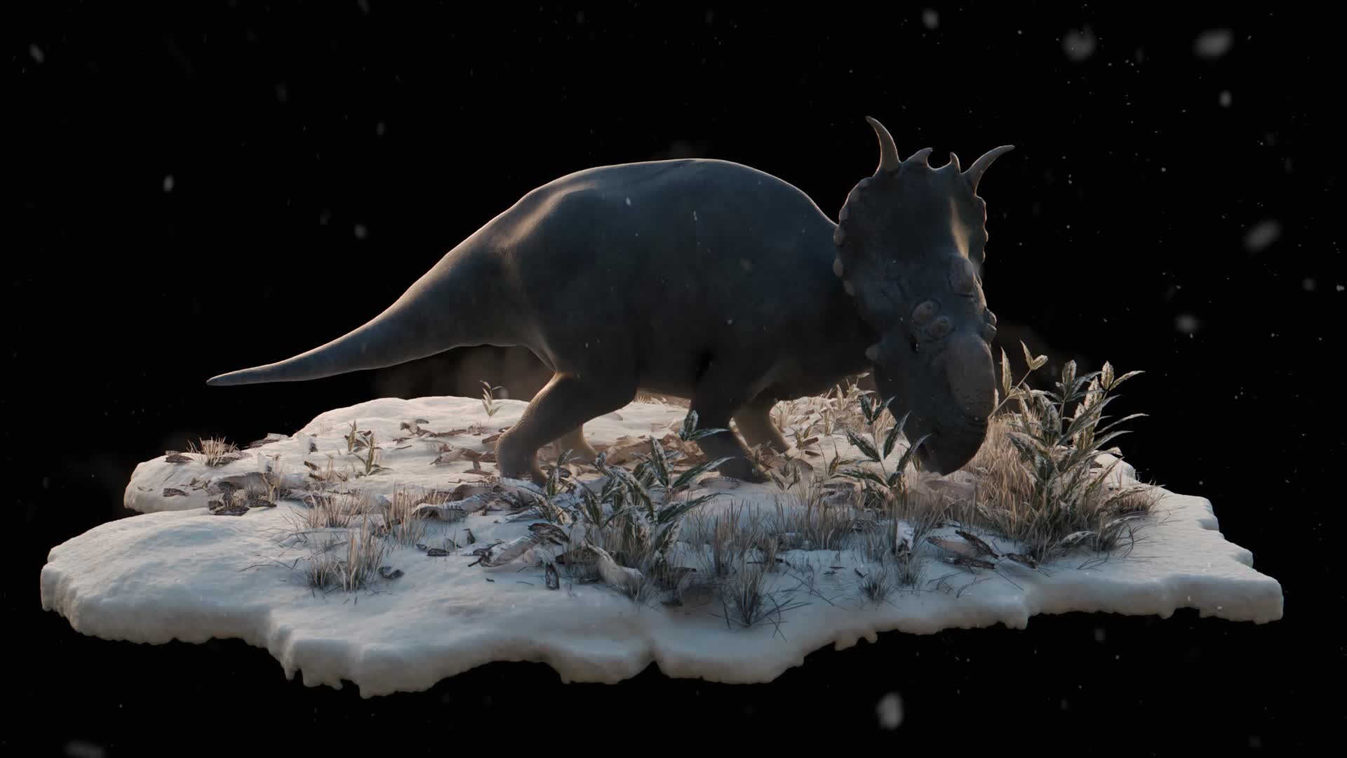 Prestoria - Pachyrhinosaurus