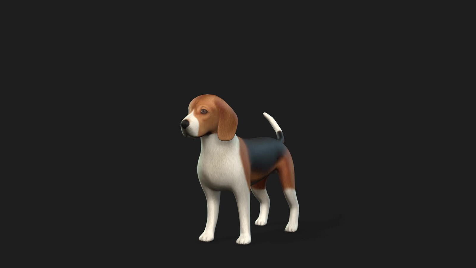 Beagle for XR Project