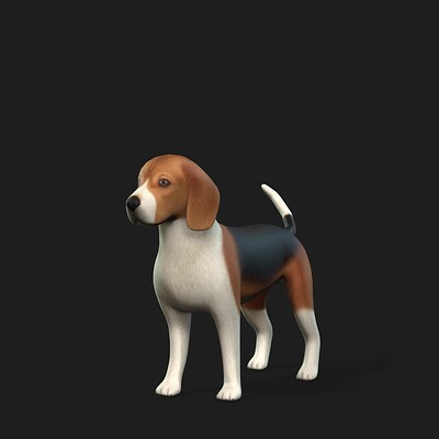 Beagle for XR Project