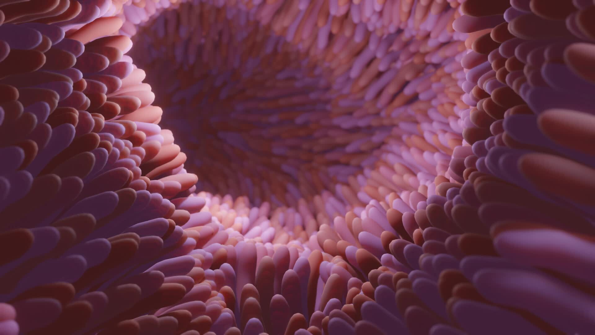 Microvilli of small intestine Biology Diagrams