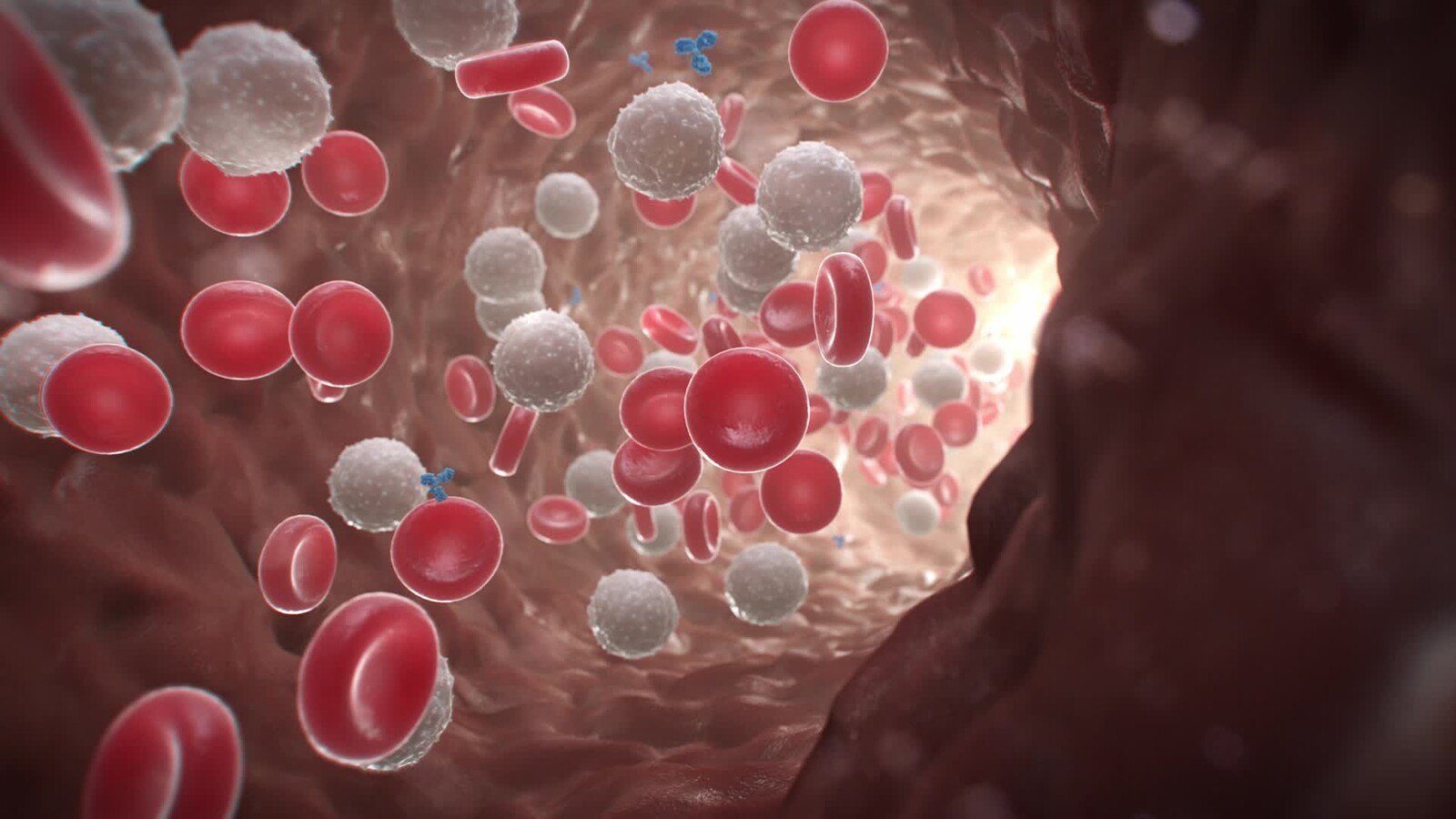 Bloodstream Environment | Houdini FX