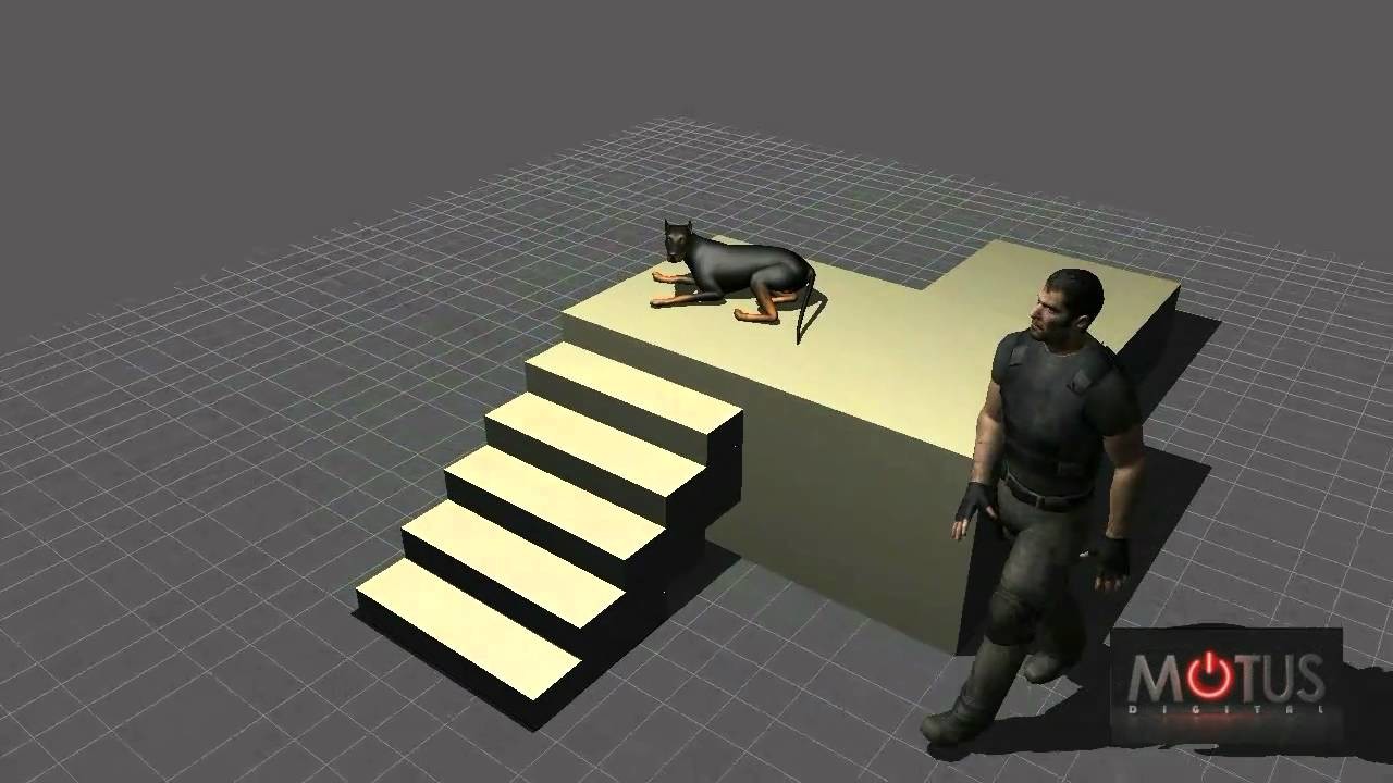 dog motion capture