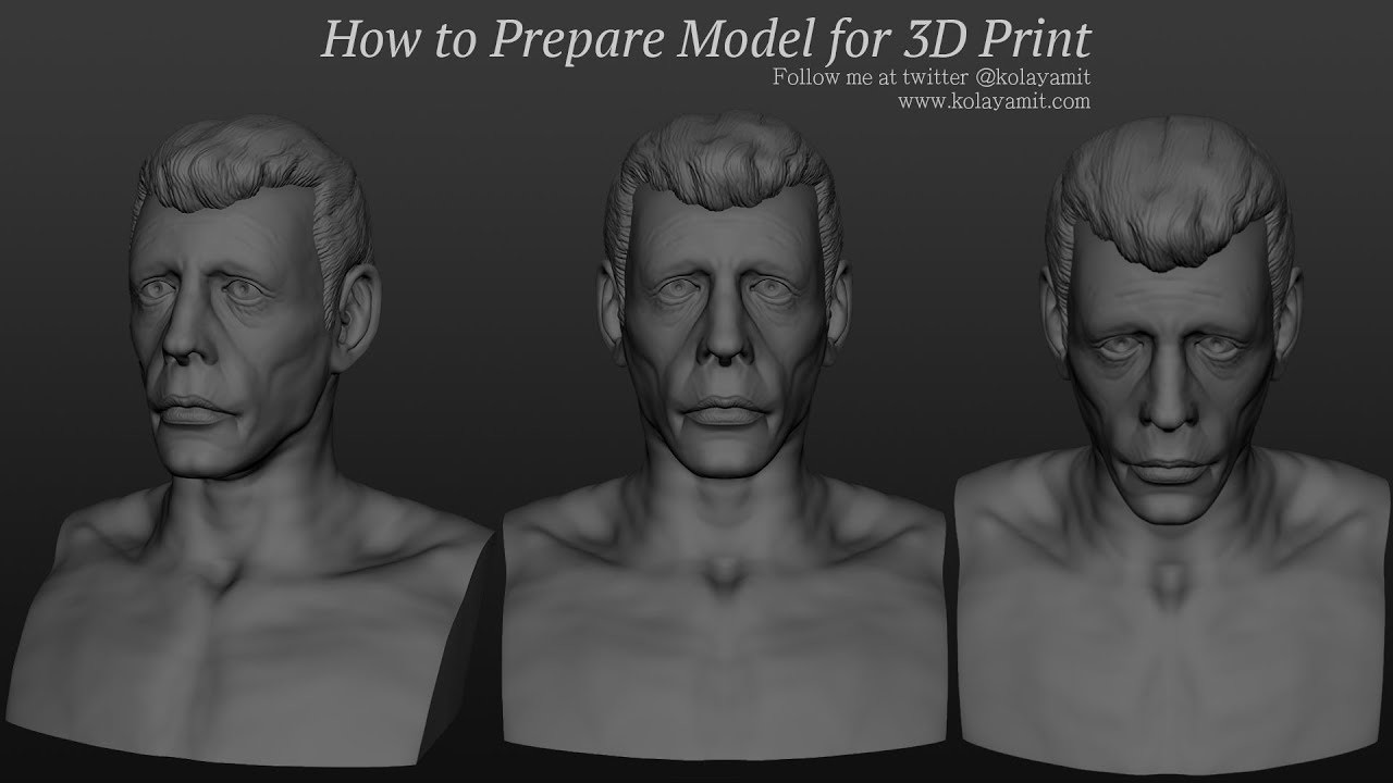 Prepare model. Freelance 3d.