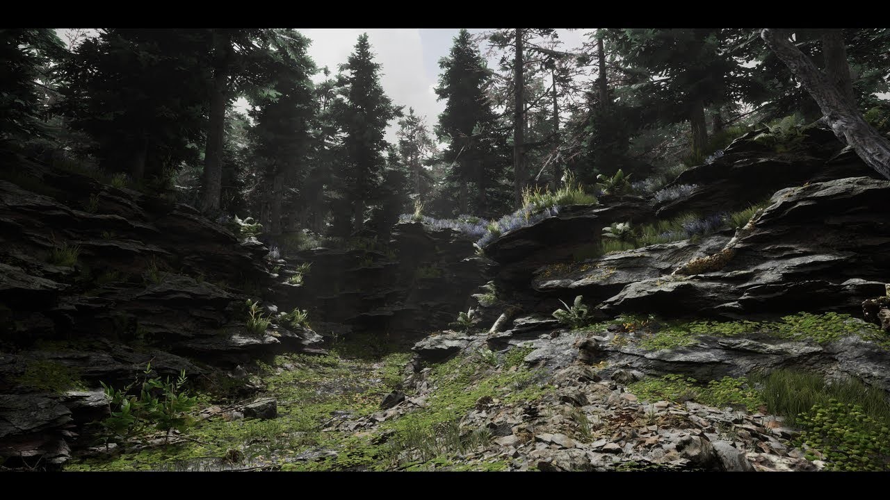 ArtStation Rocky Forest Environment