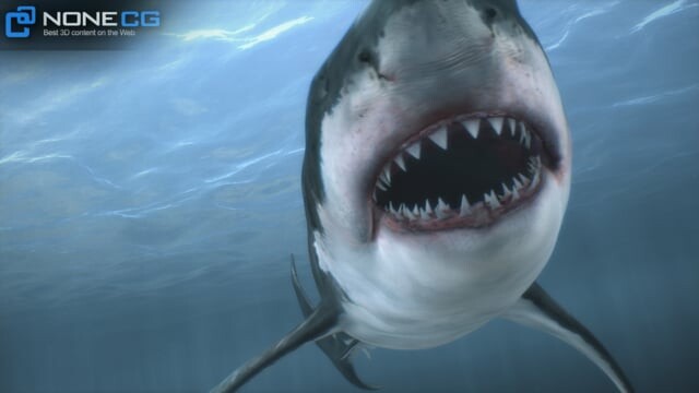 Nonecg 3d Models 3d Great White Shark By Nonecg