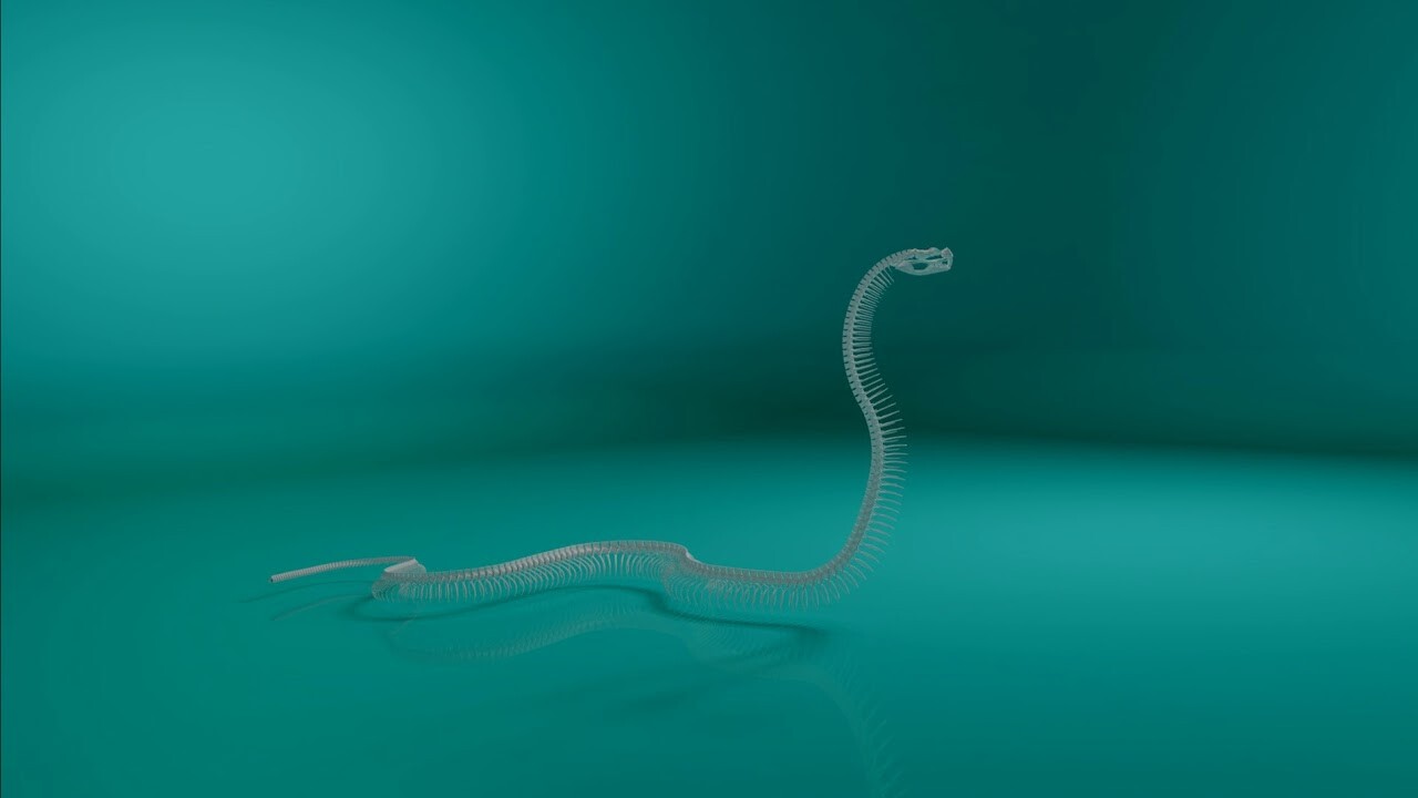 ArtStation - The 3D model snake skeleton