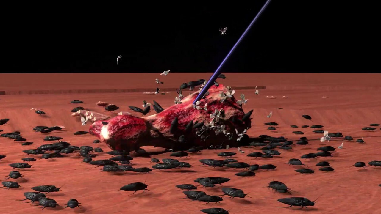 ArtStation Bug (insect) animation in blender 2.81 (Relaxing video D )