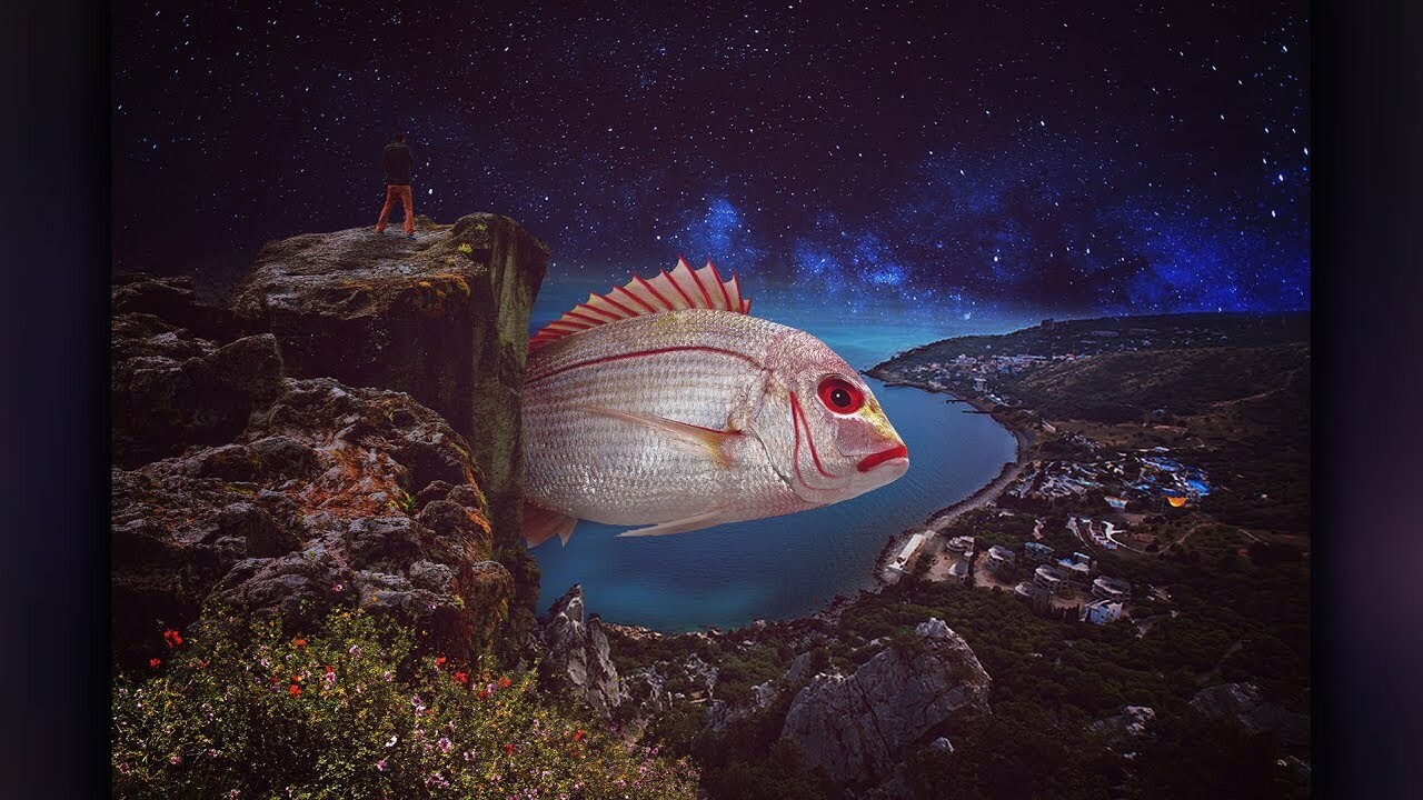 ArtStation - Fish - Manipulation # 1 - Photoshop CC 2018 - How to Build ...