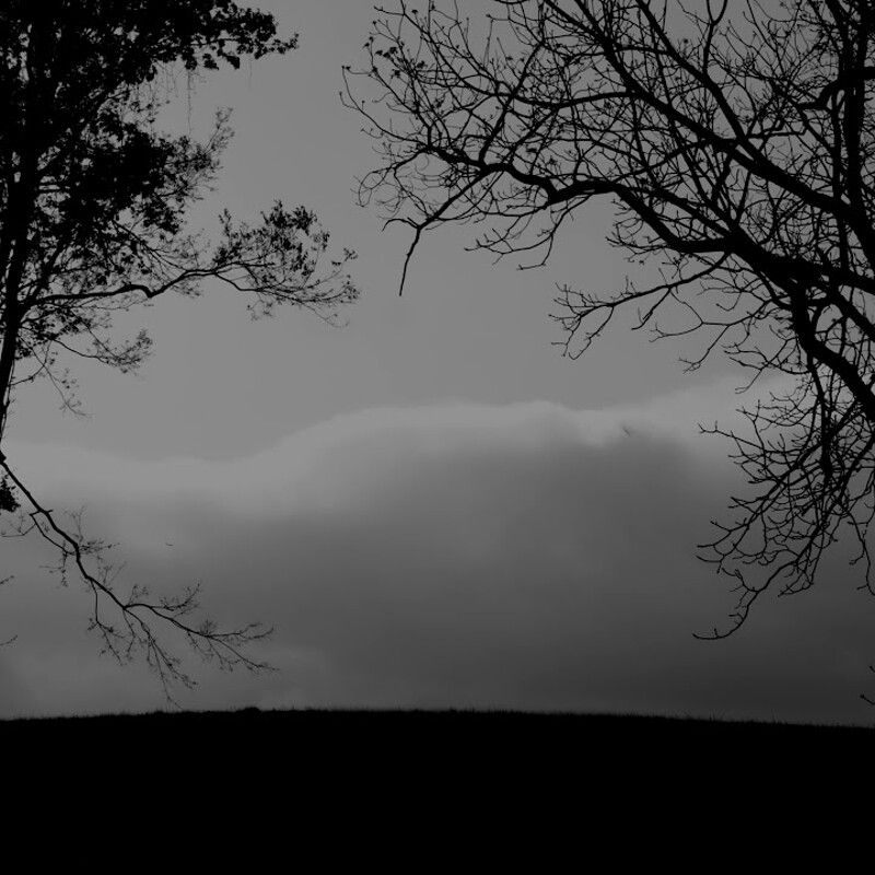 Cane Hill Clouds