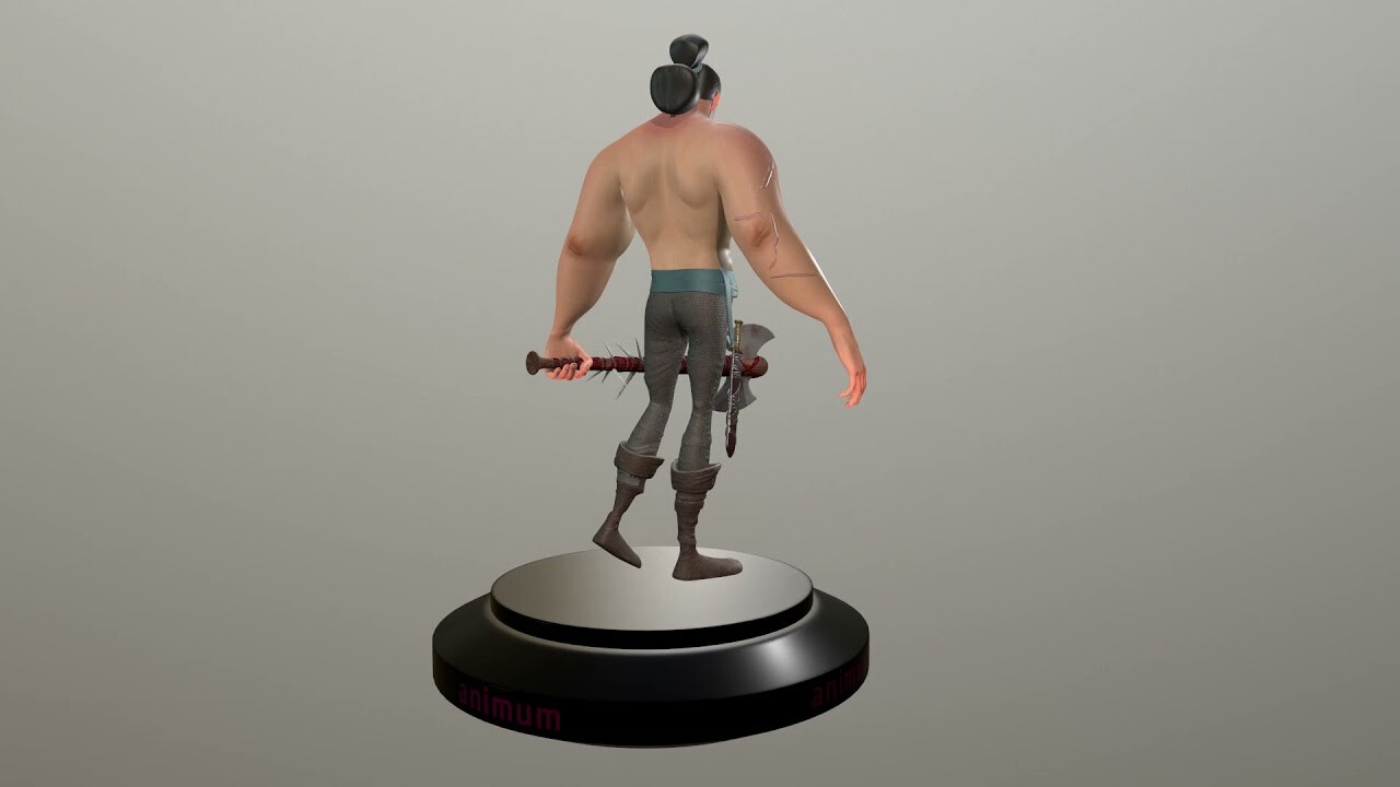 Warrior ANIMUM TFM PROYECT