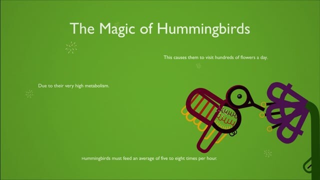 ArtStation - The Magic of Hummingbirds