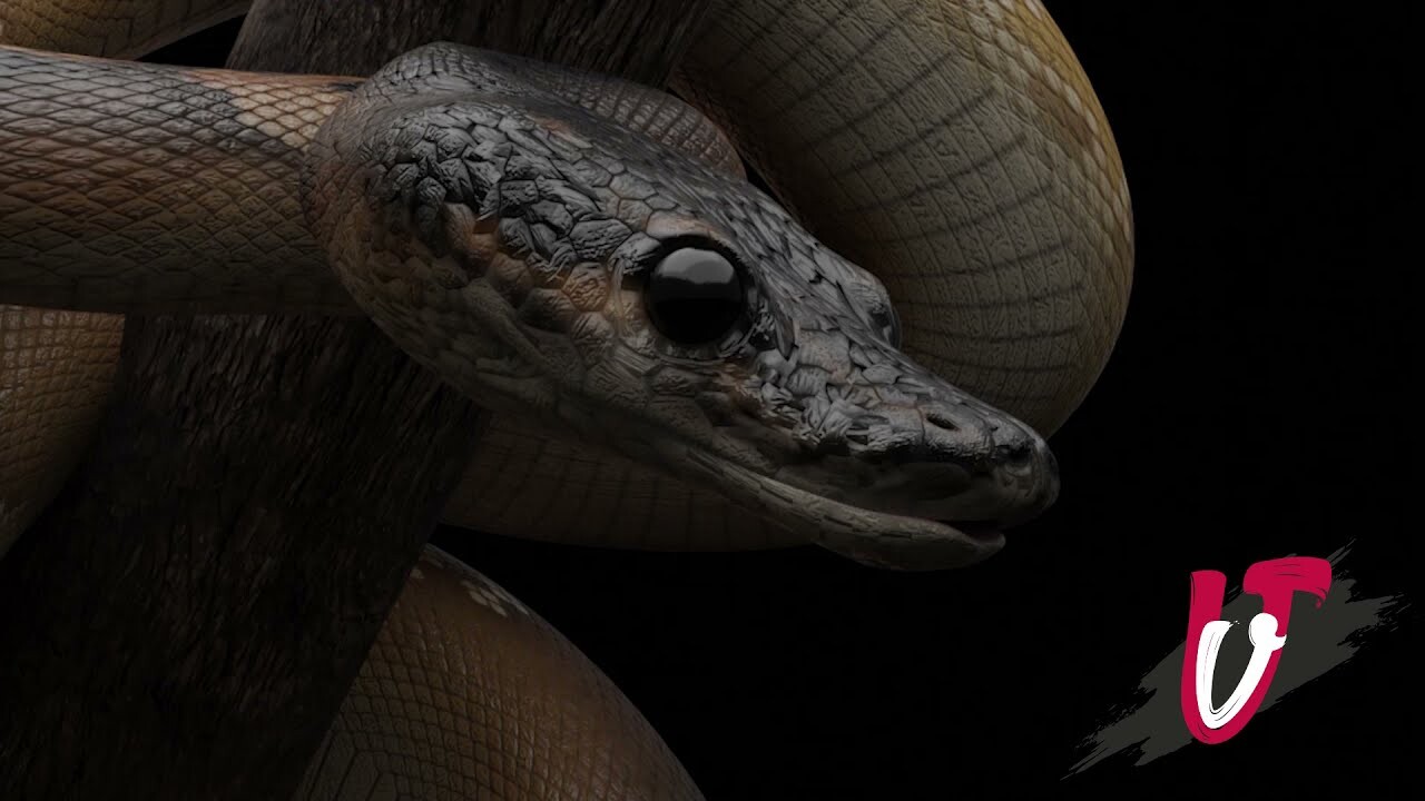 ArtStation - Ball python 3d animation
