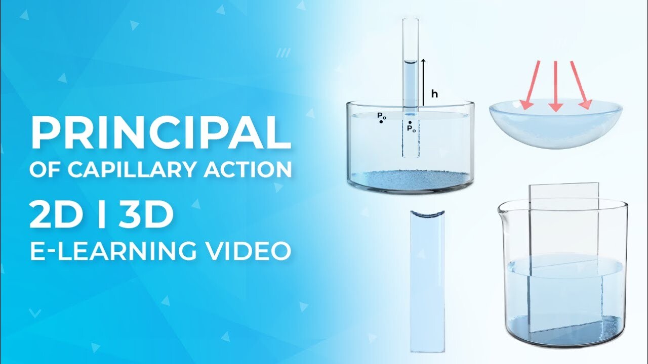 Principal of Capillary Action | 2D | 3D | E-learning Video | Elite Physics | Incredimate Studio